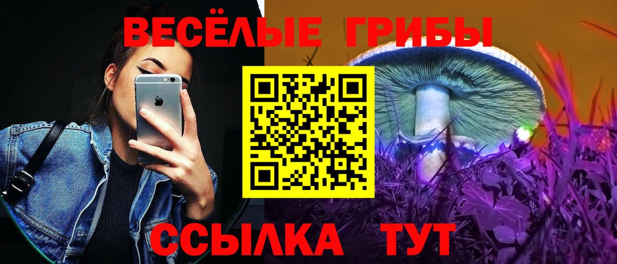 Городец  Галлюциногенные грибы мухоморы  Вход с VPN 